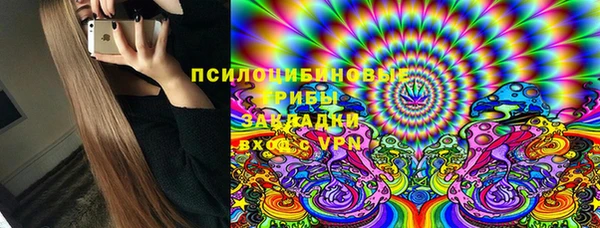 гидра Алзамай